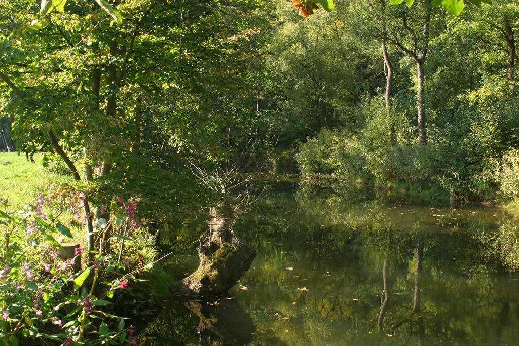 Ústí nad Orlicí Turisticka Ubytovna Cakle מראה חיצוני תמונה